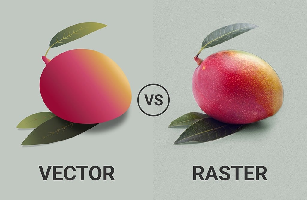 Vector Vs Raster Why You Should Care In Your KDP Business Book Bolt