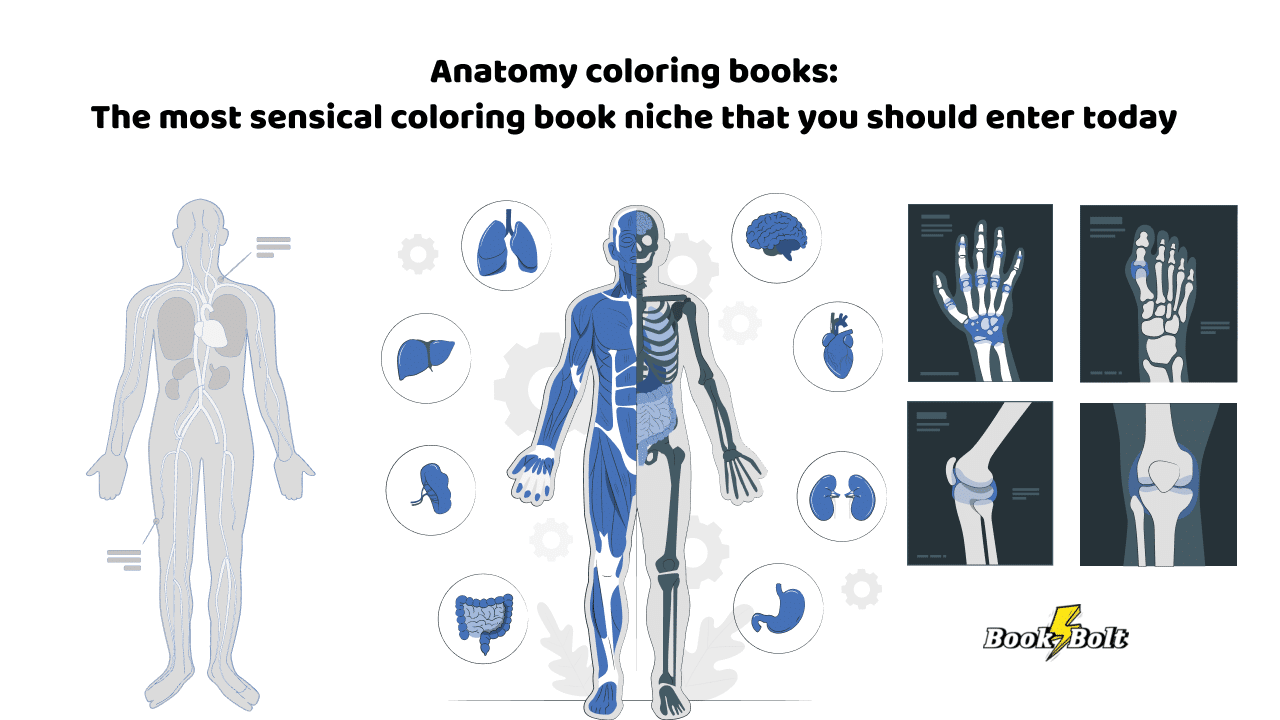 anatomy coloring books kdp