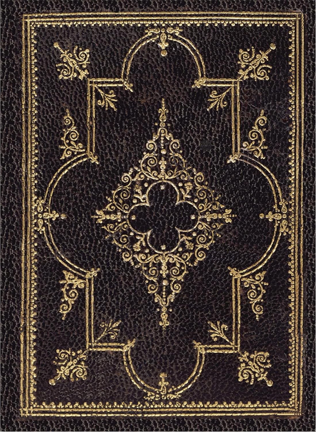 A close-up of a book Description automatically generated
