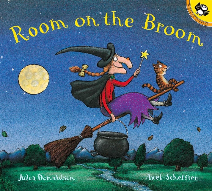 A book cover of a person flying on a broom Description automatically generated